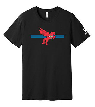 ER1-BC3001-DTGB - Dallas Red Pegasus Tee