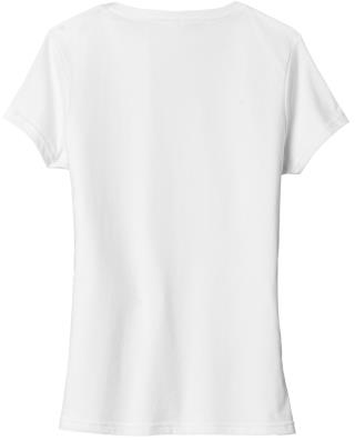 Ladies Tri-Blend V-Neck